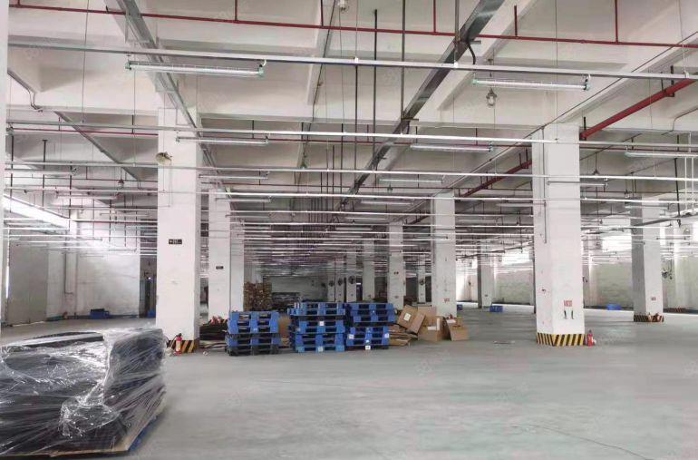 10元起电商物流客户！凤岗独院5万平单层1万平大小分厂房出租