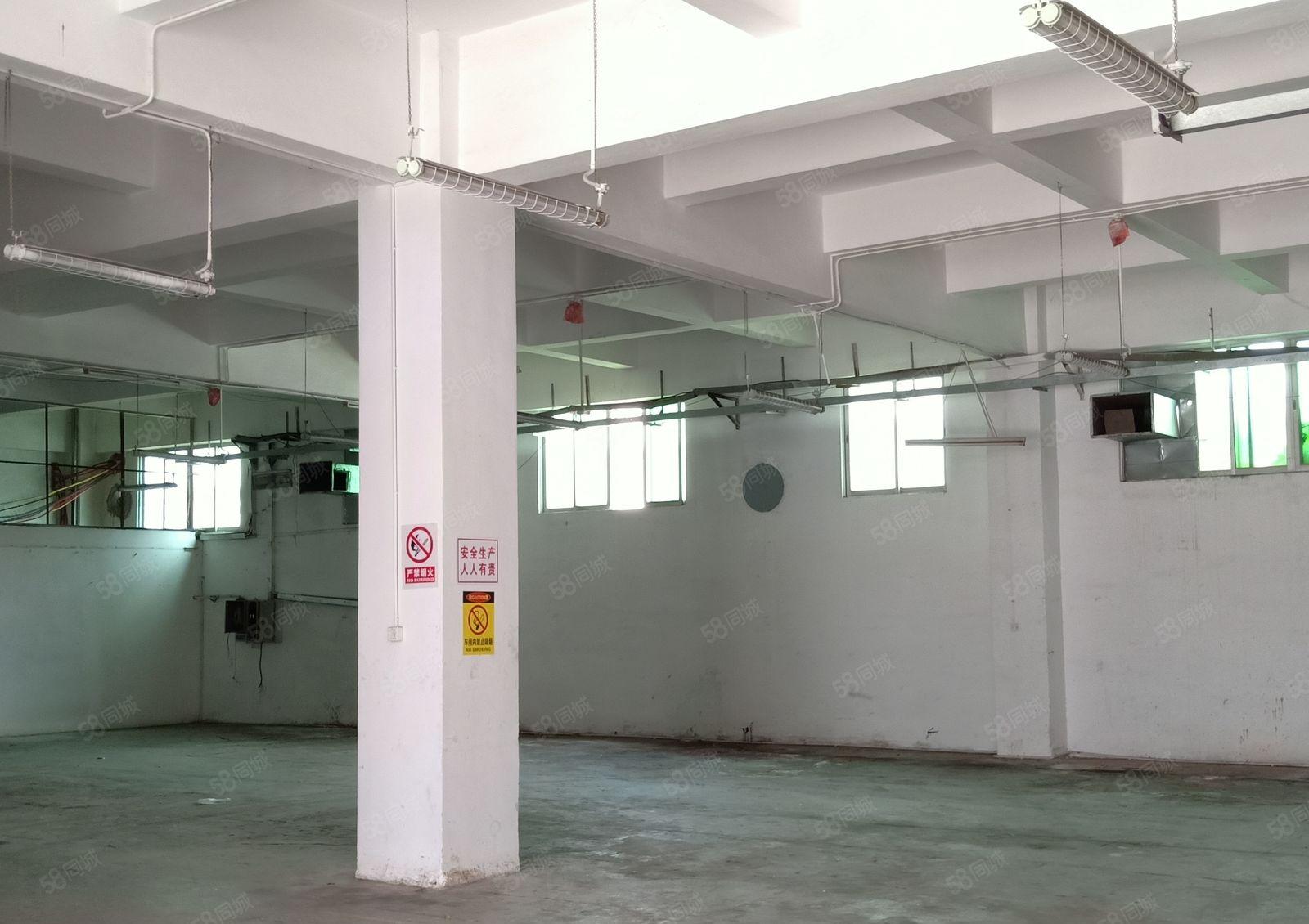 新出小独院三层电梯厂房每层带精装办公室水电到位业主直租免佣金