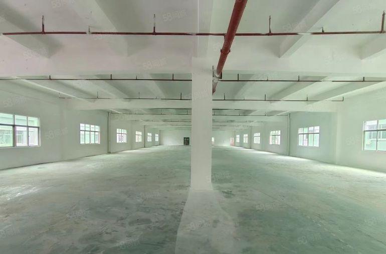 凤岗雁田国企厂房独门独院4500平方厂房3层空地大无分摊出租