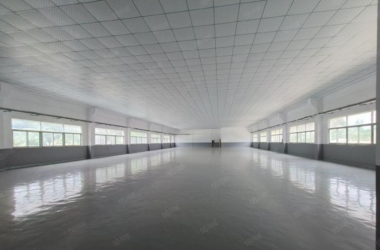 无公凤岗雁田1500平原房东尾盘低价出租，层高4米全新地坪漆