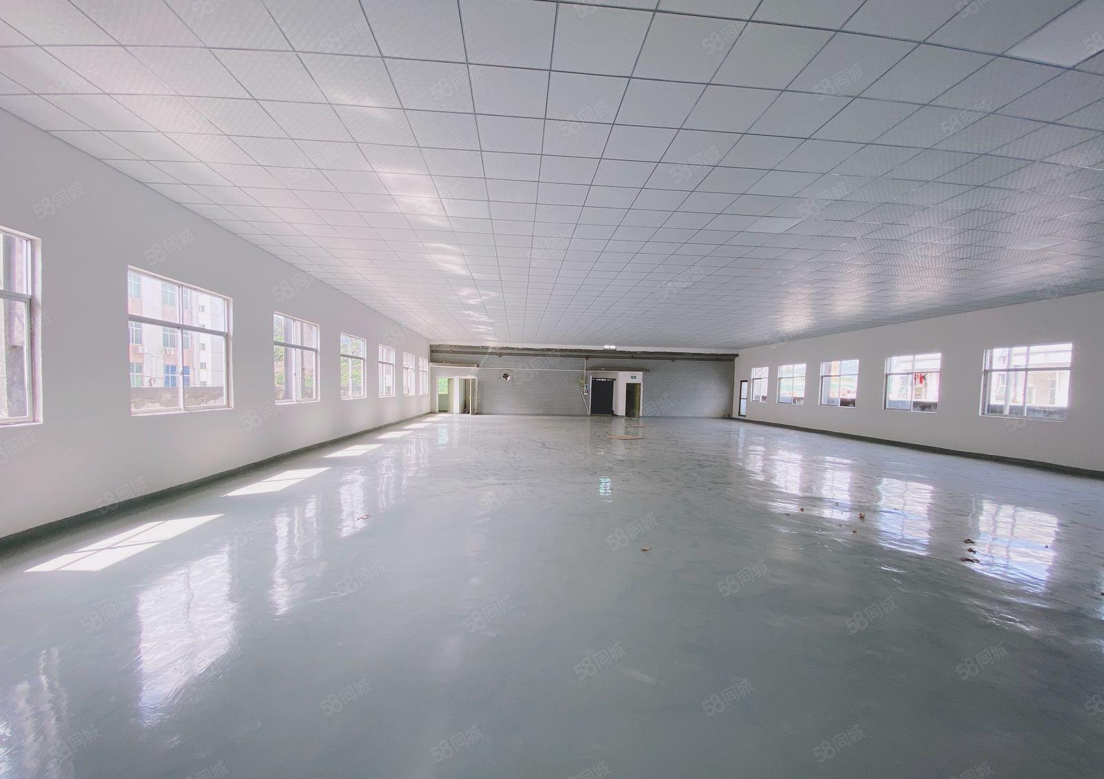 凤岗金凤凰全新装修现成办公室1000平租金12