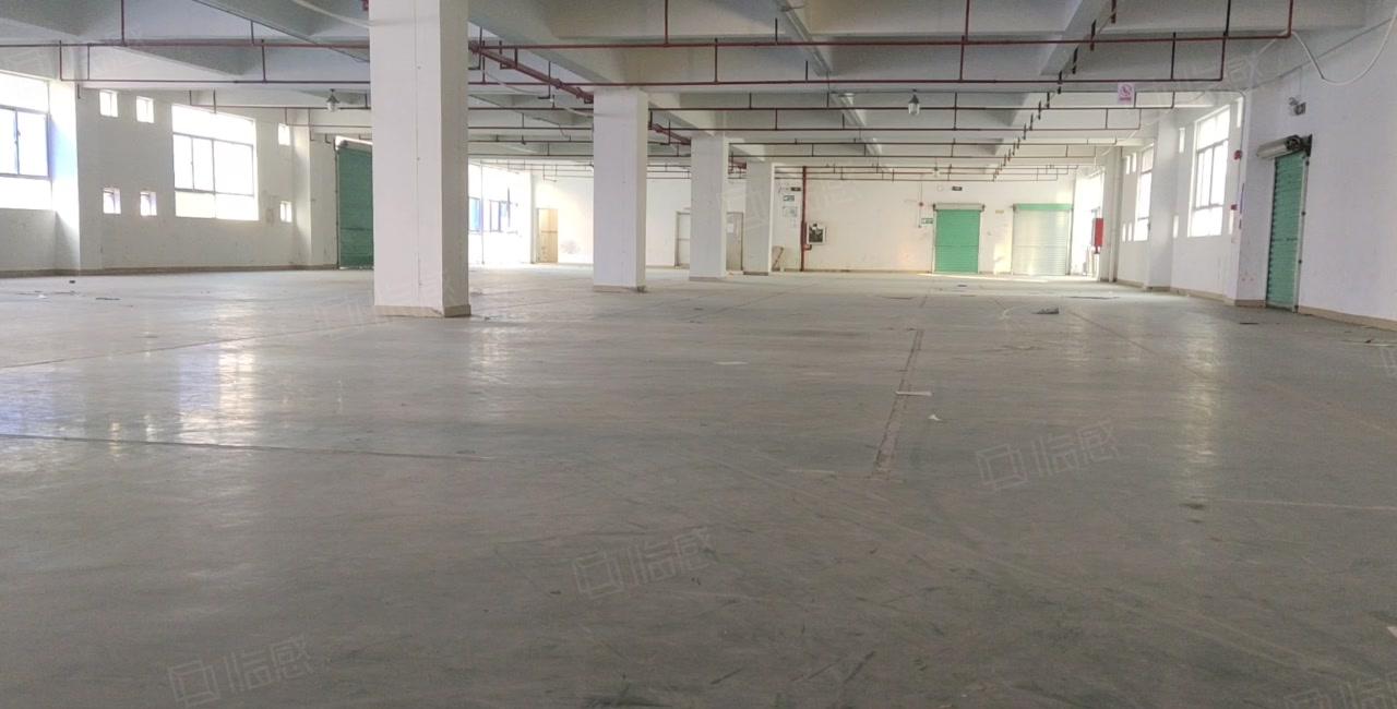 凤岗宏盈工业区独院2百5百8百1千平原房东仓库厂房出租可分租