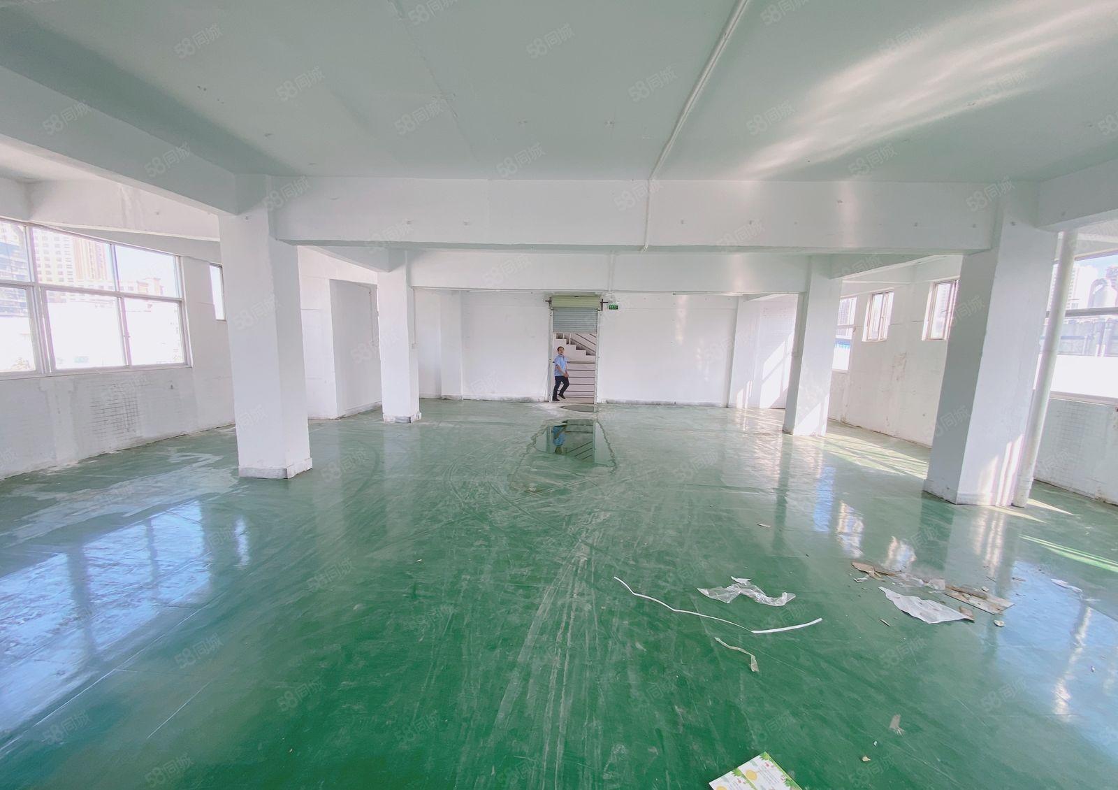 凤岗雁田自家厂房出租现成水电办公室600平租金12