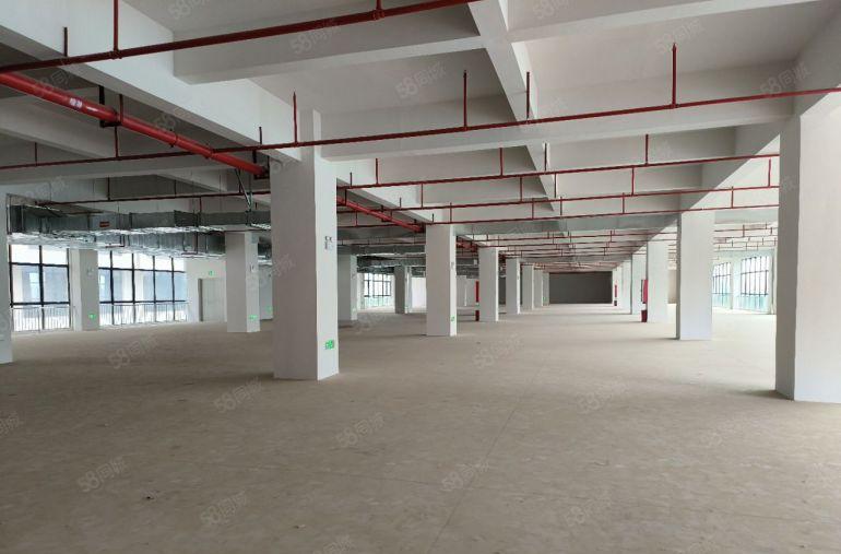 9.9凤岗全新原房东红本厂房仓库出租3吨货梯3部1000平分