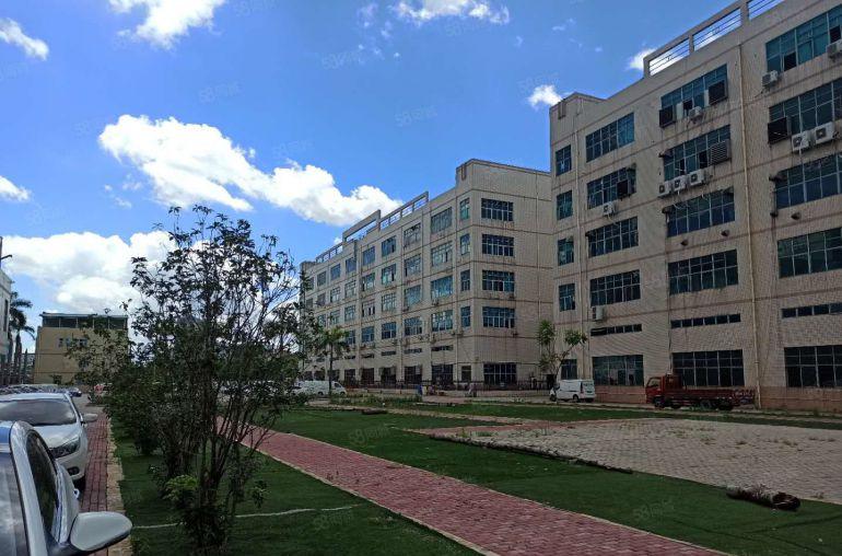 15元起租凤岗雁田一楼300平独门独院工业地厂房出租大小可分