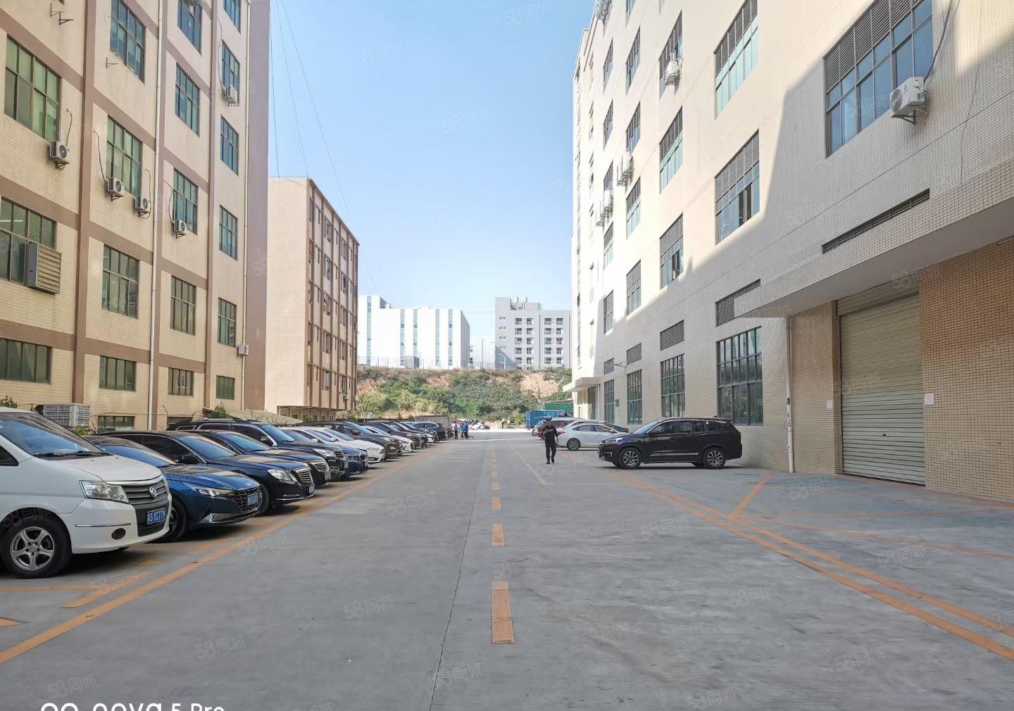 凤岗金凤凰大型工业园空出6楼1560方带装修