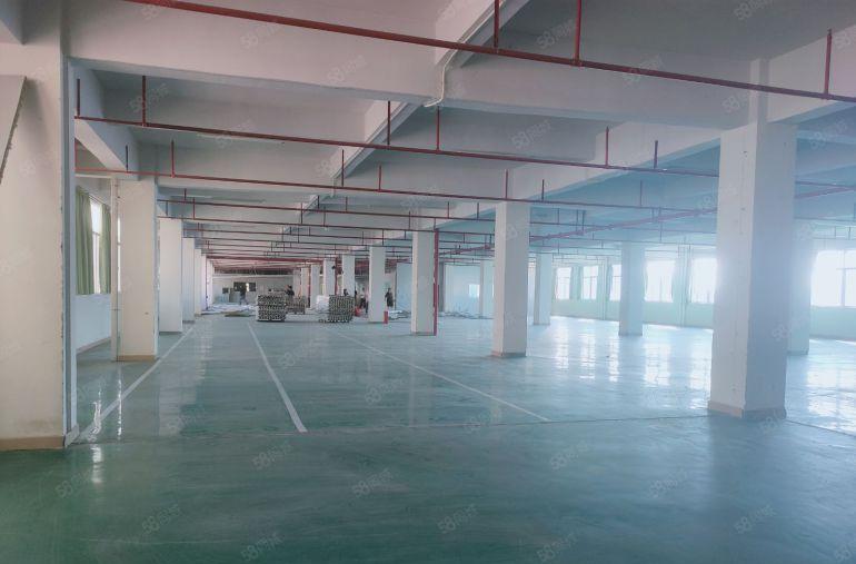 凤岗五联楼上2750平包装电子毛刷 现成水电办公室 拎包入驻