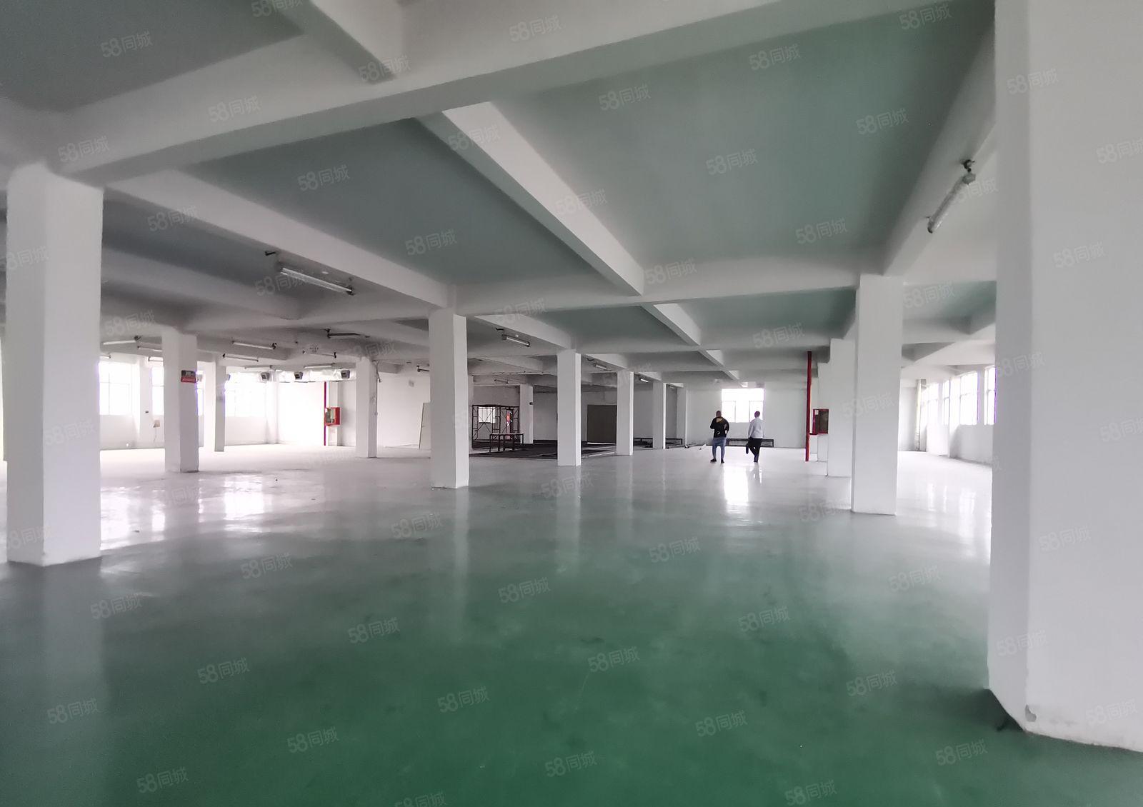 凤岗大龙工业区原房东2千平独栋仓库厂房出租可分租靠近主干道旁