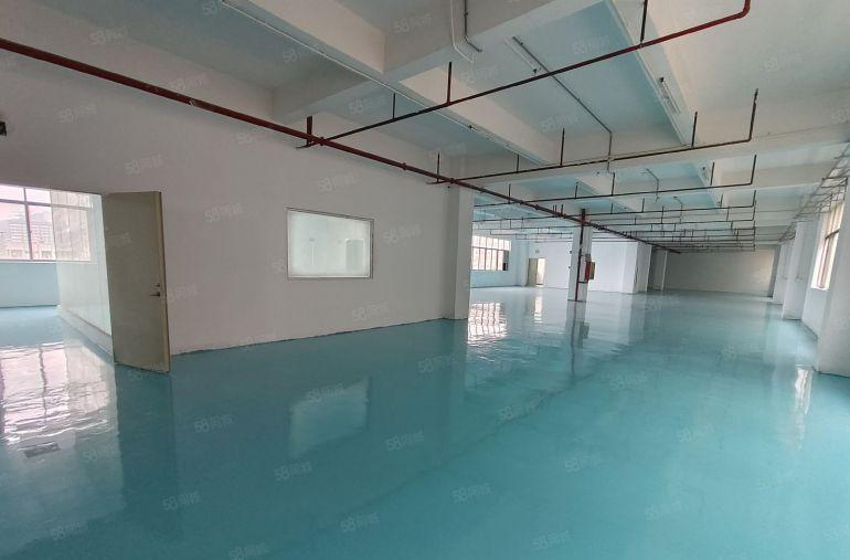 凤岗浸校塘楼上整层1250平厂房出租全新地坪漆水电齐全