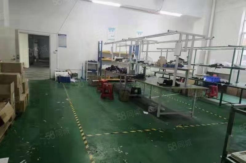 凤岗五联新出独门独院3600平方出租(可以分租）