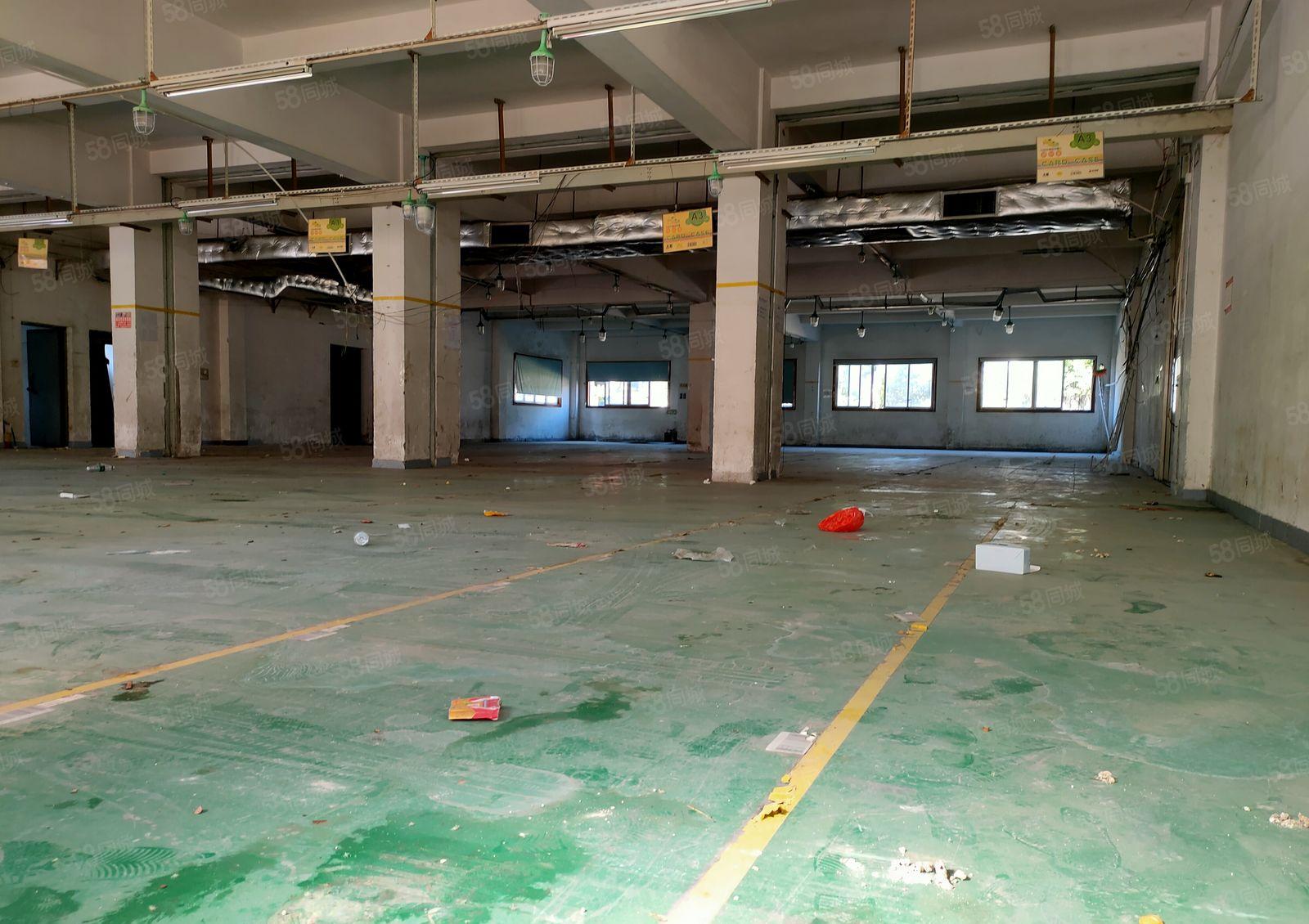 出租雁田临深一楼800平  6米高 空地大 带红本