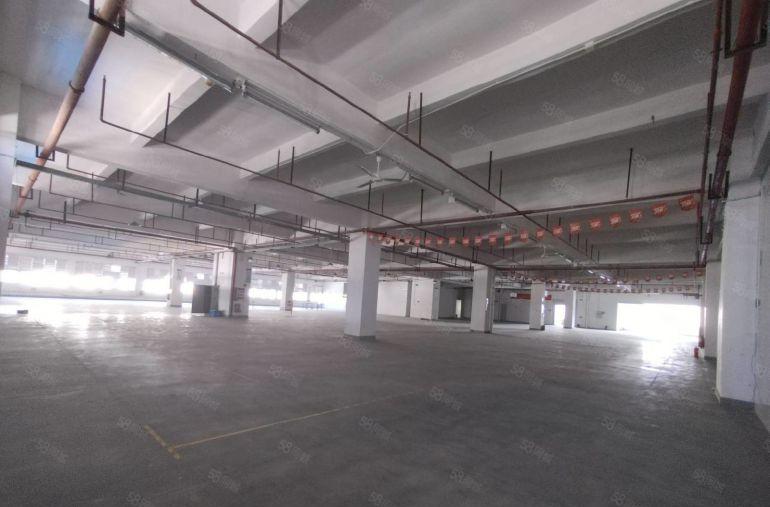 深圳里的凤岗观澜交接处原房东3100平可分组价格实惠