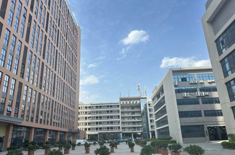 电商仓库物流直播基地！凤岗3万平单层2500平厂房仓库出租