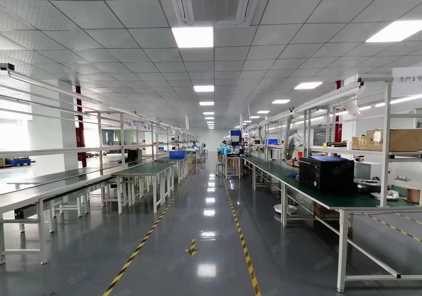 凤岗金凤凰二楼1300平方带办公室装修厂房出租