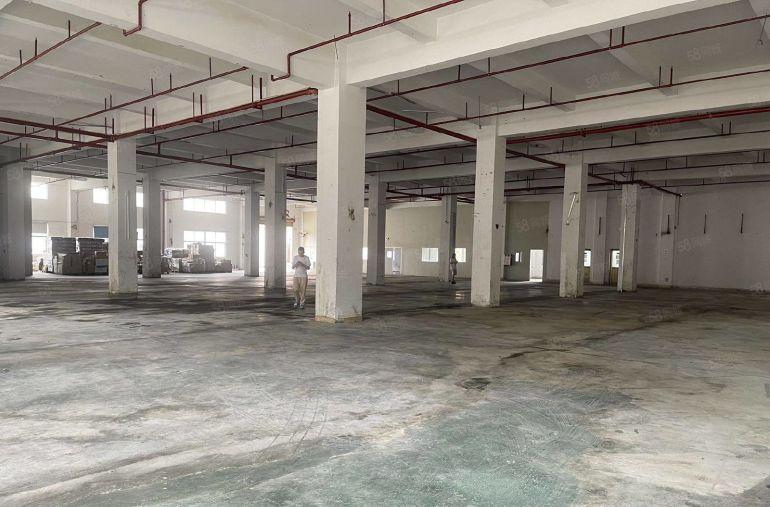 原房东6米高一楼厂房）凤岗雁田新出2000平方米厂房出租