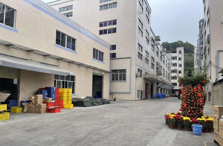 凤岗金凤凰新出6000平方米独院厂房出租）租厂房找原房东