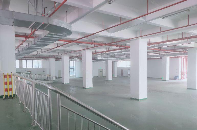 凤岗镇中心标准一楼带卸货平台厂房出租3500平 空地大无公摊