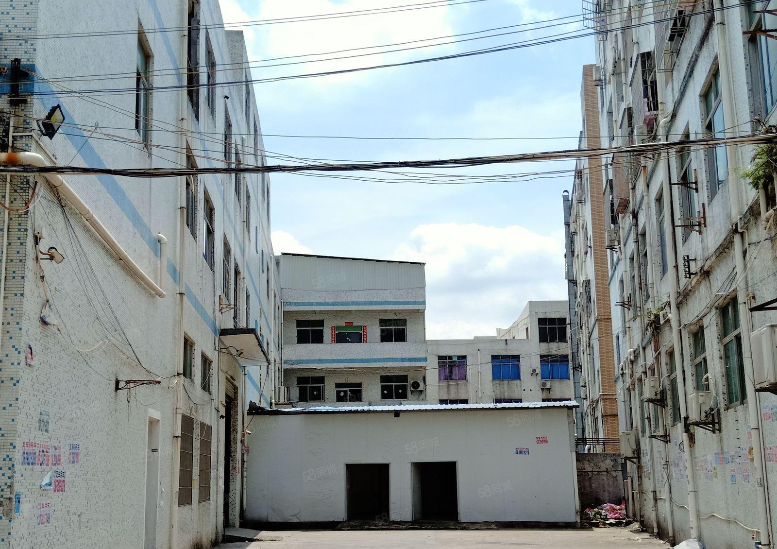 新出小独院三层电梯厂房每层带精装办公室水电到位业主直租免佣金