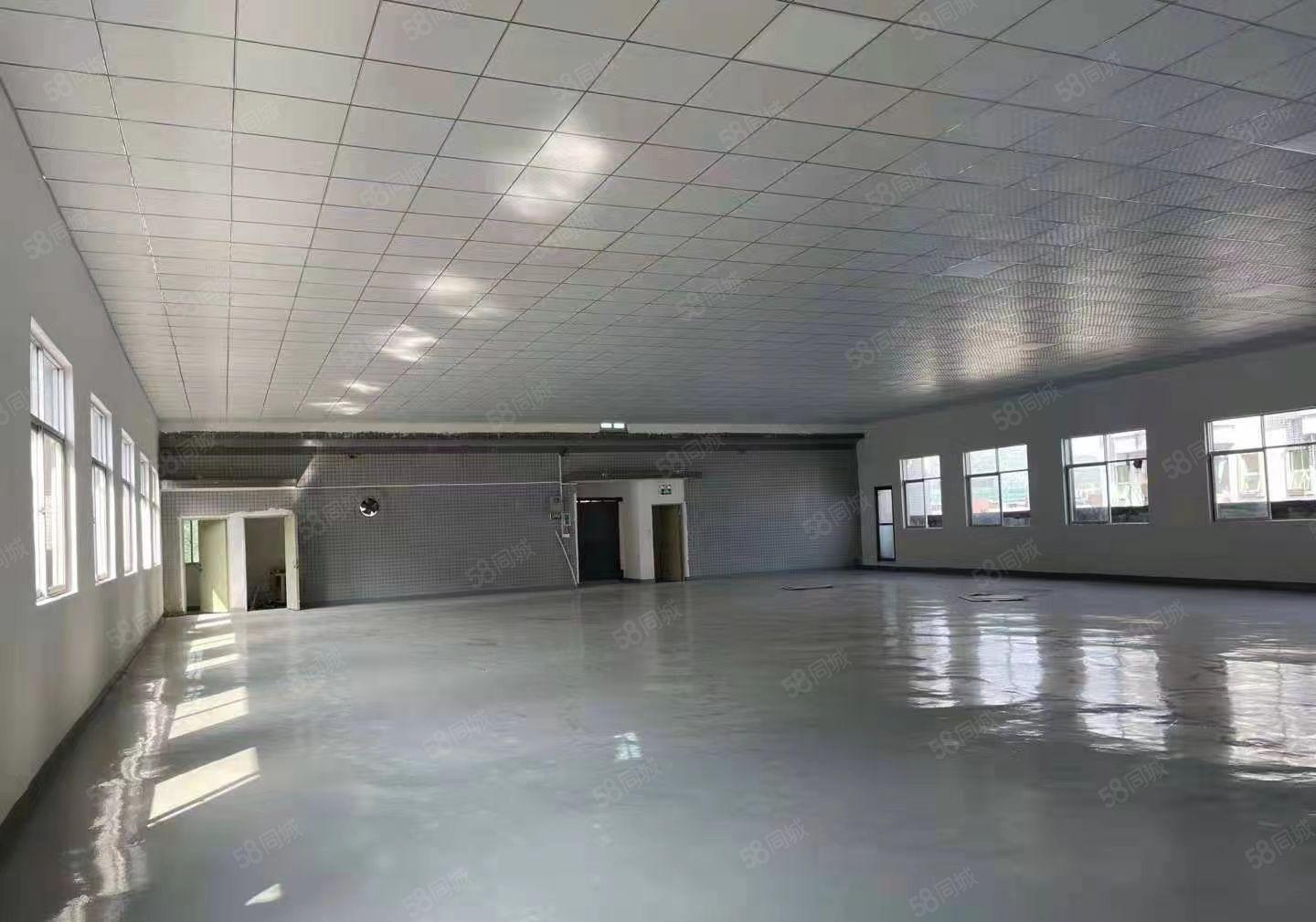 凤岗金凤凰工业区全新装修1000平租金12现成水电办公室