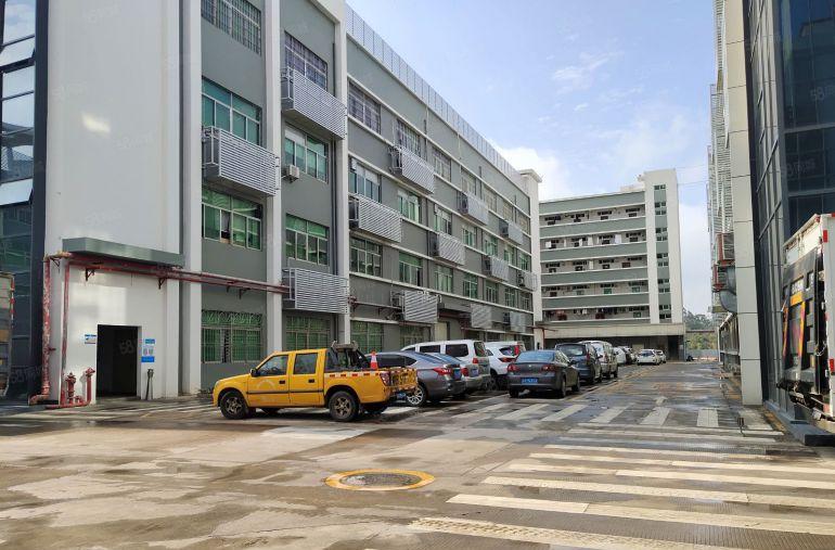 凤岗雁田原房东二楼分租1000平方现成装修水电齐全可办环评