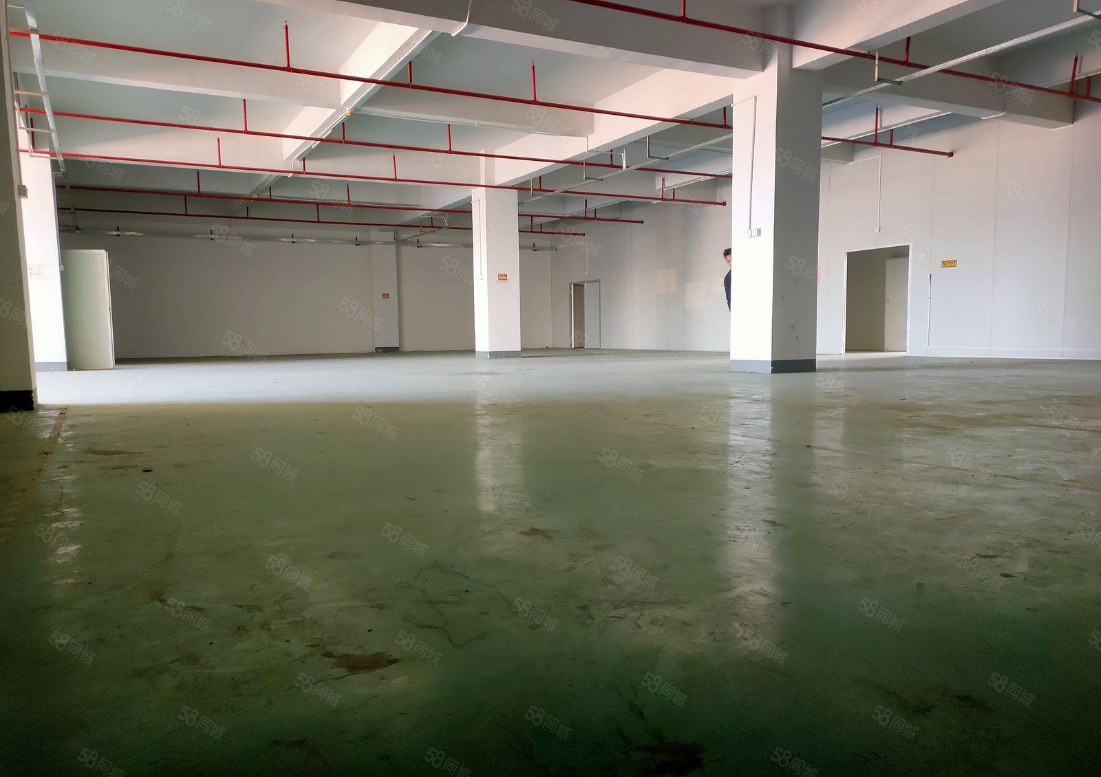 出租楼上1600平带 有地坪漆 带卸货平台 办公室 3吨货梯