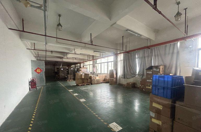 凤岗雁田原房东厂房2000平低价出租500平起分好招工无公摊