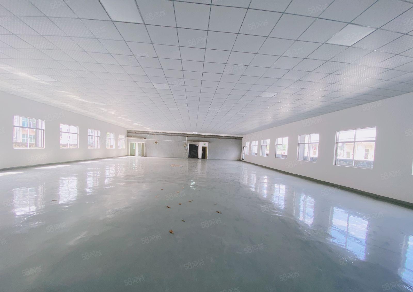 凤岗金凤凰楼上1000平现成装修租金12可谈