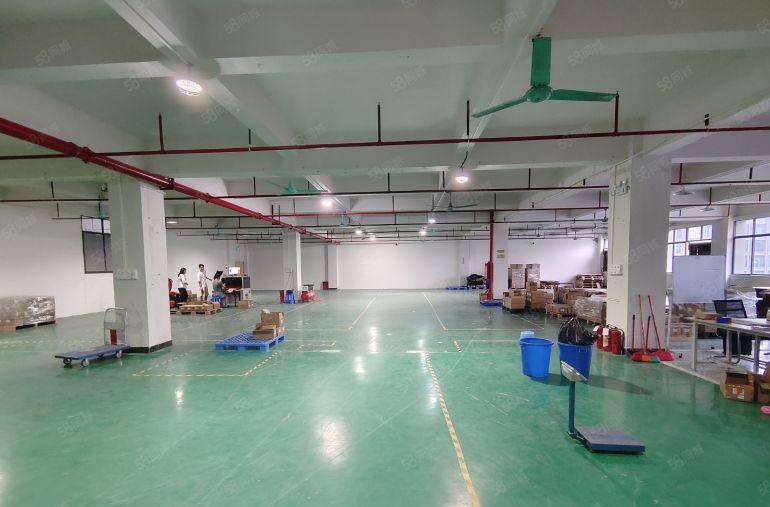 清溪三中楼上600平带装修电子厂房现成水电好招工