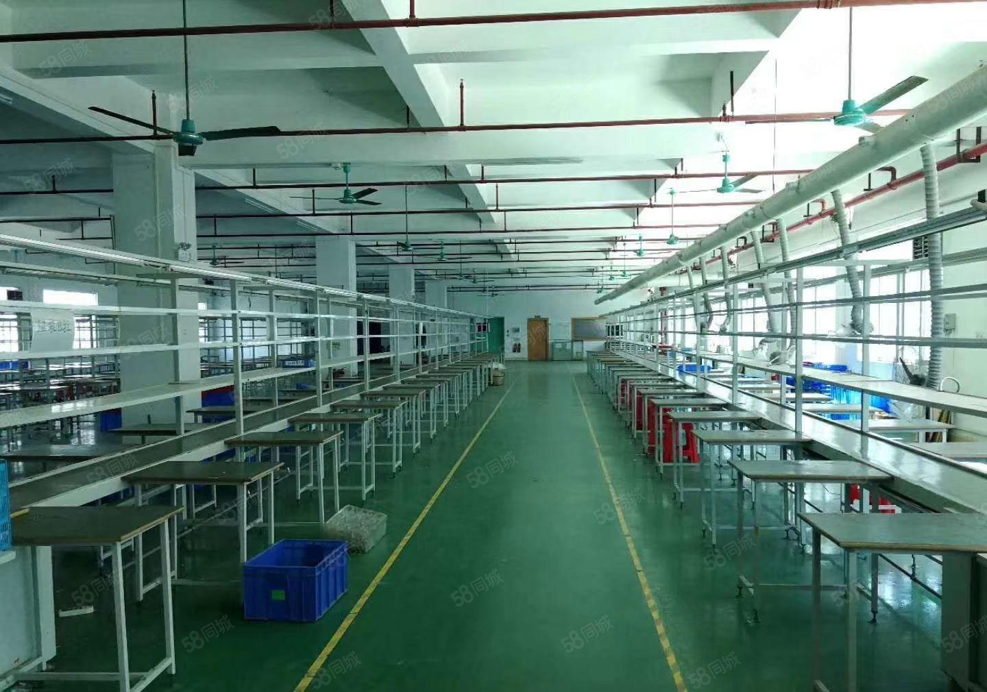 新出原房东独门独院3800平方厂房出租（可以分租）