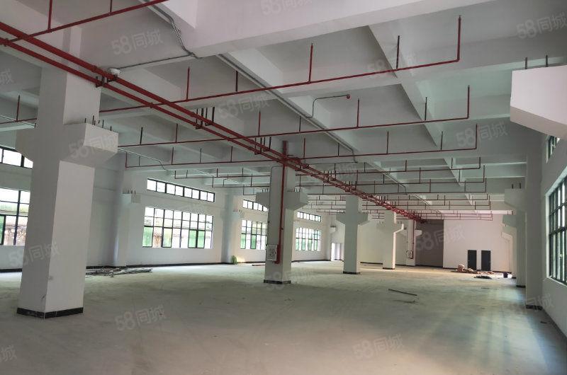 凤岗独院4200平米厂房火爆招租(可分租）