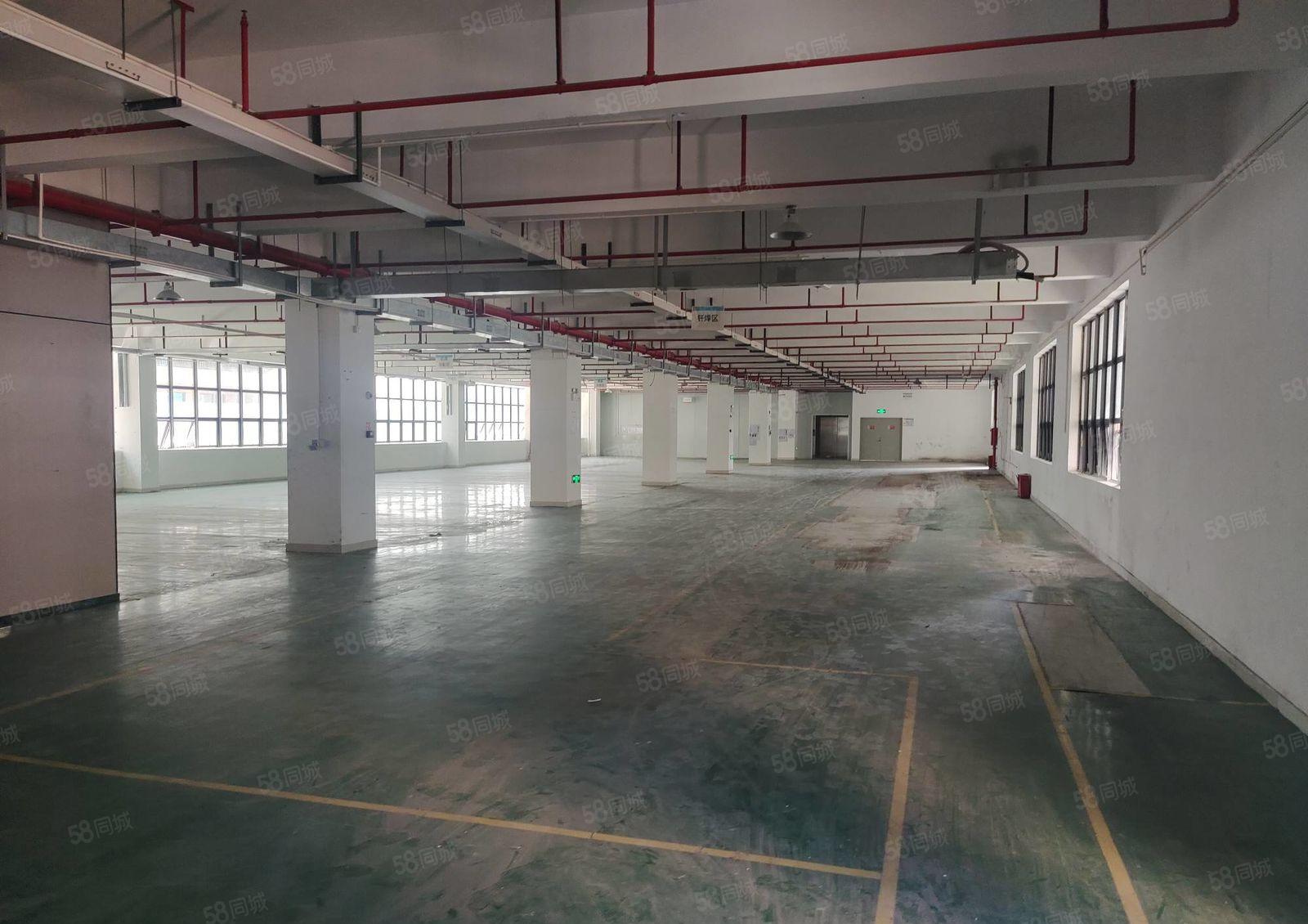 凤岗您要形象靓的厂房3楼2200平方红本花园式美到冒泡好招工