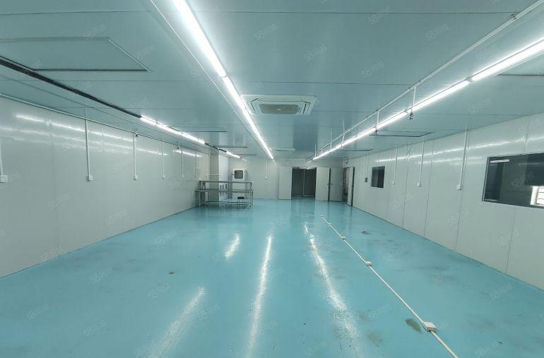 凤岗雁田楼上700平无尘车间厂房出租原租客手机钢化膜