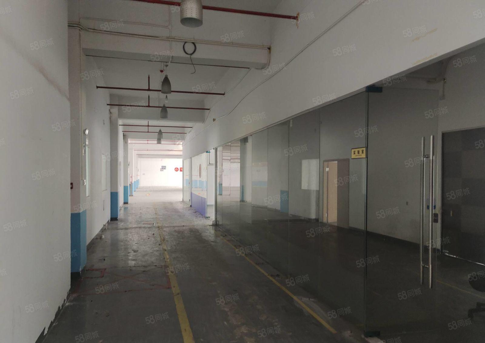 想要高端园区往这看整层3280平方7楼实际面积电子科研组装等