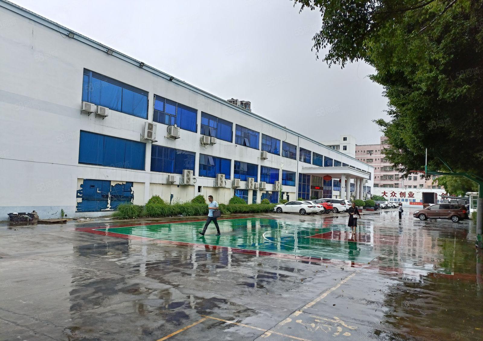 凤岗镇原房东标准厂房一楼二楼出租2000平方水电齐全低价急租