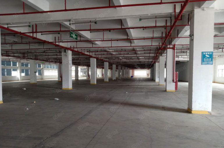 500平起分凤岗油甘埔原房东独门独院厂房出租空地大带红本