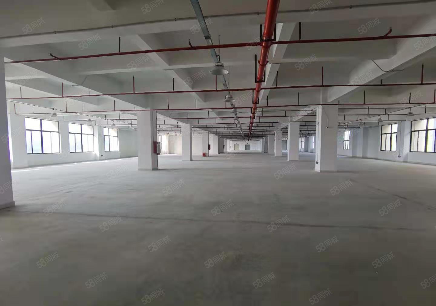 原房东！凤岗雁田红本独院5万平面积大小可分厂房仓库出租