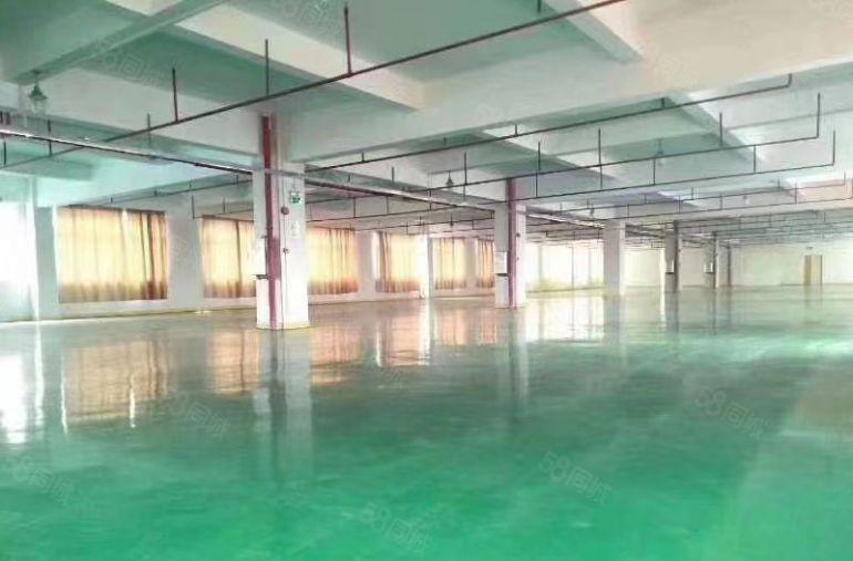 官井头原房东2楼2500平方豪华装修全新地坪漆超大空地好招工