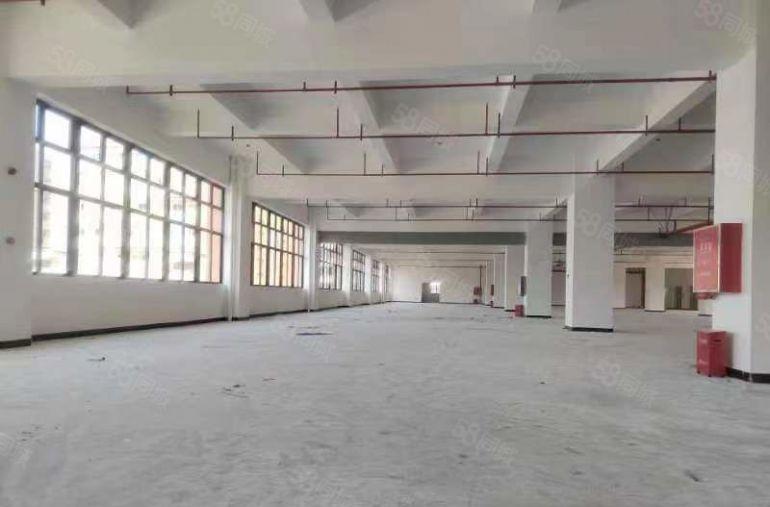 凤岗金凤凰全新原房东独门独院工业园分租一千起.可以电商仓库