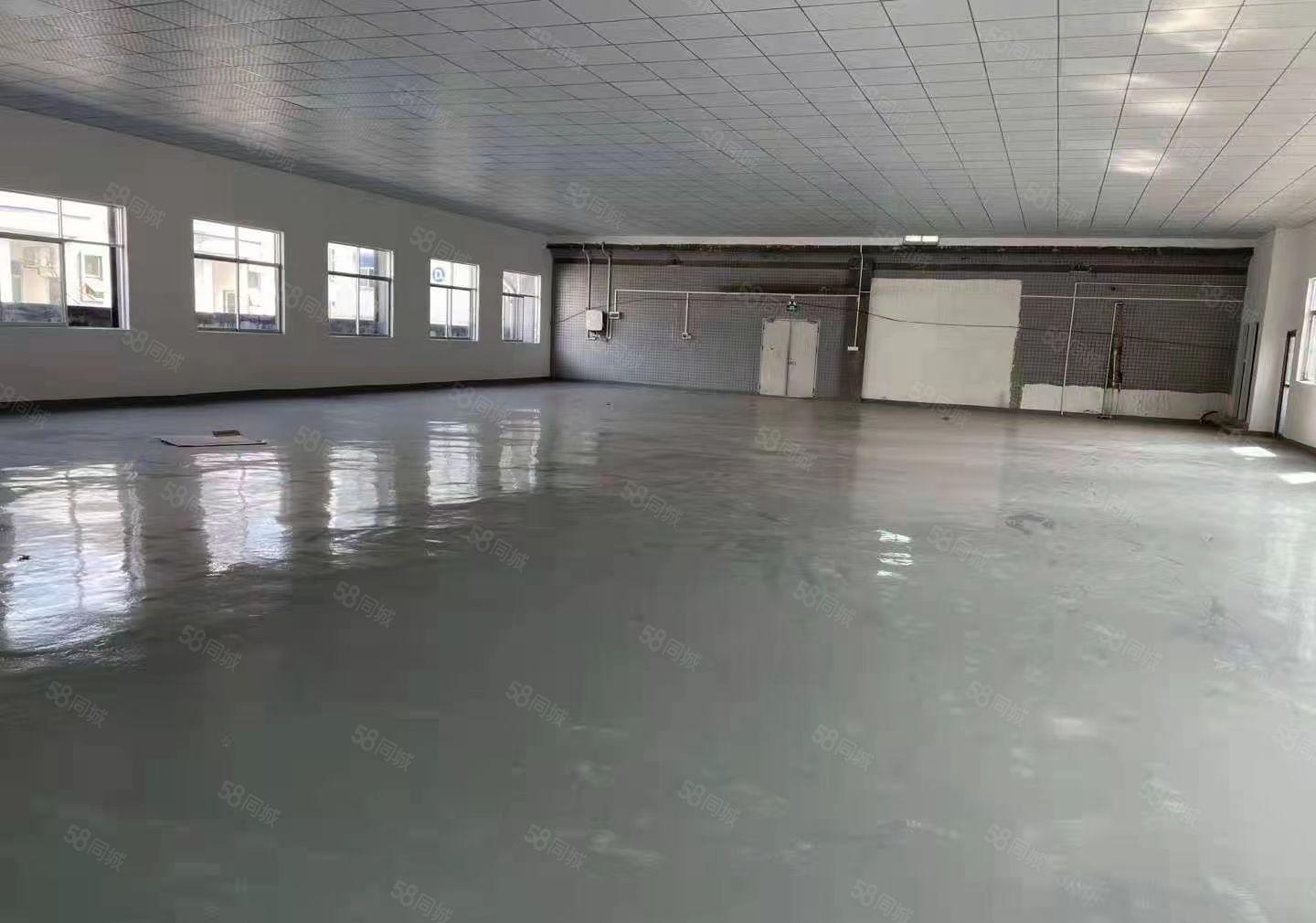 凤岗金凤凰楼上全新装修1000平现成水电办公室