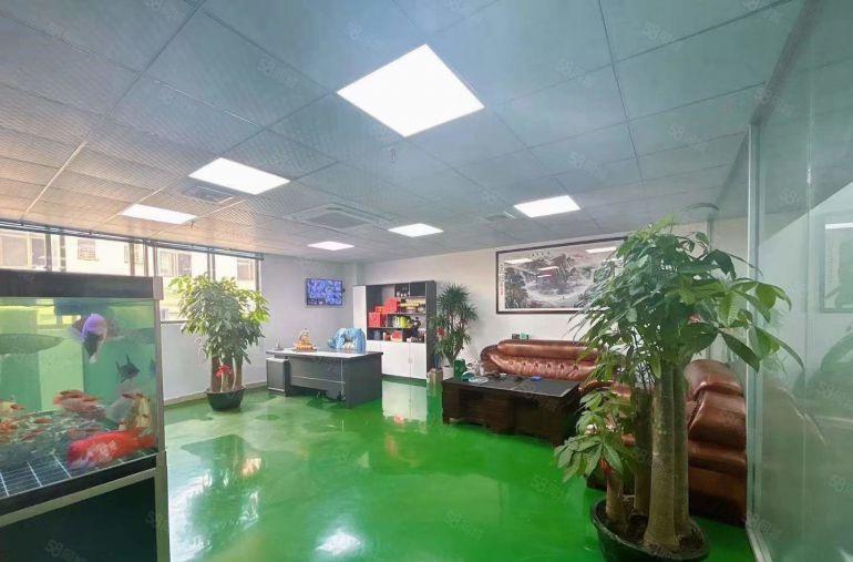 凤岗油甘埔新出独院无尘车间厂房仓库1200平，实际面积出租