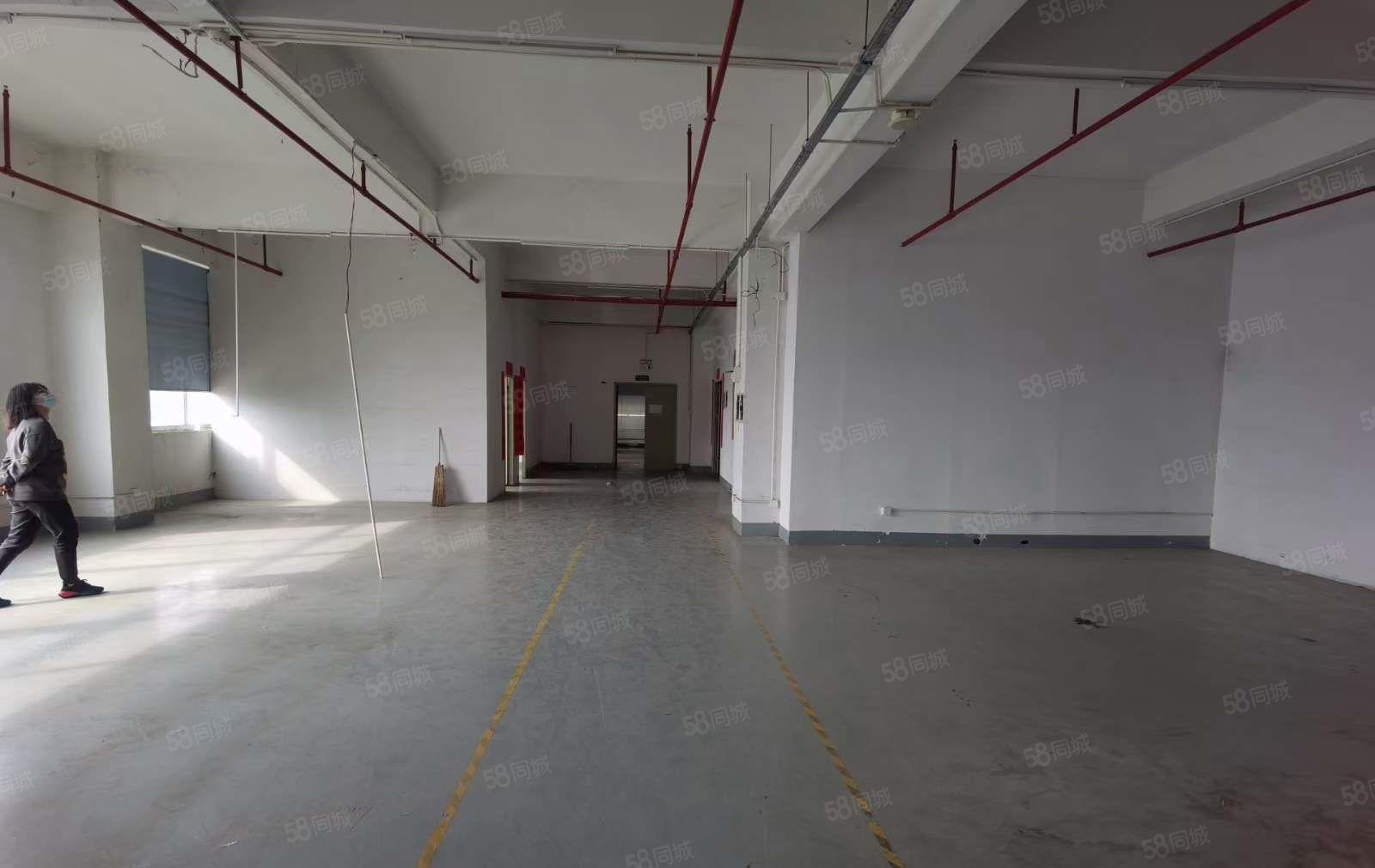 凤岗浸校塘工业园厂房出租楼上930平 现成办公室 主线到车间