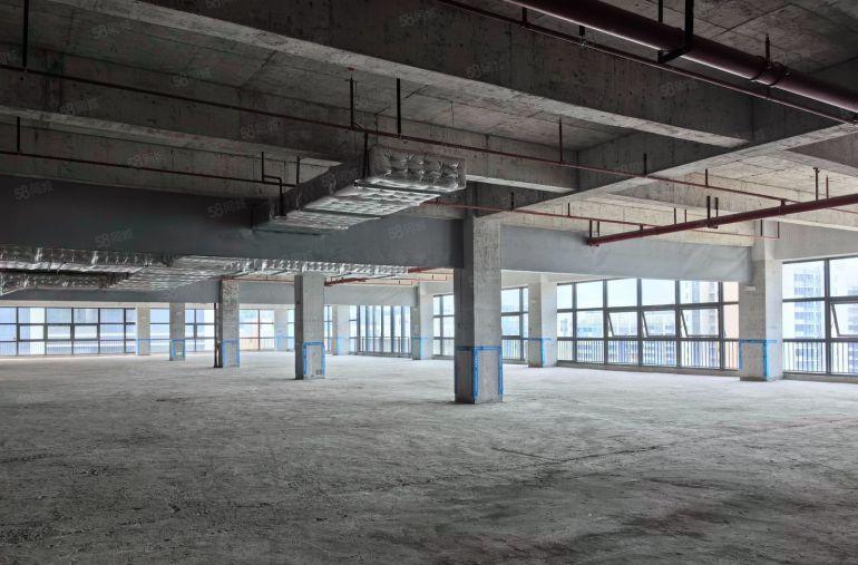 临深产业园区全新厂房出租，业主直租，价格19元层高6米