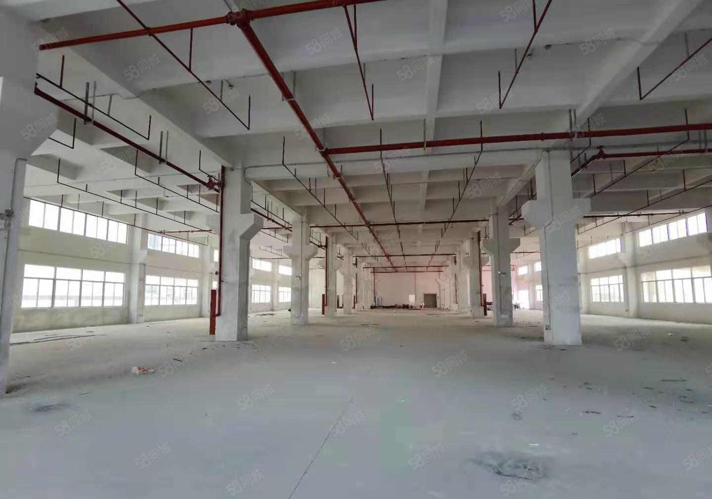 凤岗原业主独院15000平方面积实在大小可分厂房仓库出租