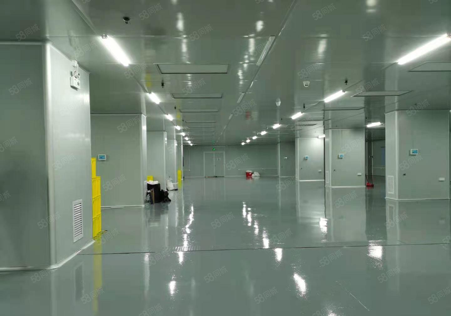 凤岗五联楼上一整层3000平无尘车间无转让费厂房仓库出租