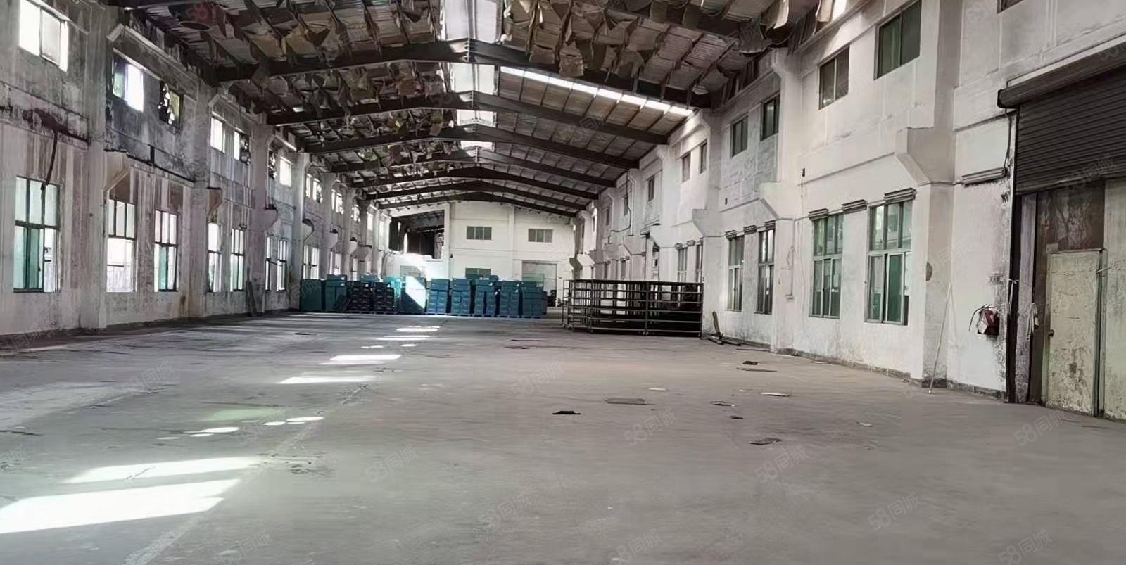 凤岗雁田新空出10米高新建钢构厂房5000平方出租（可分租）