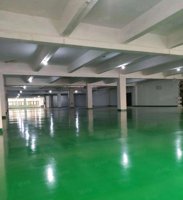 10元凤岗原房东无尘精装修0公摊每层2000平方厂房出租