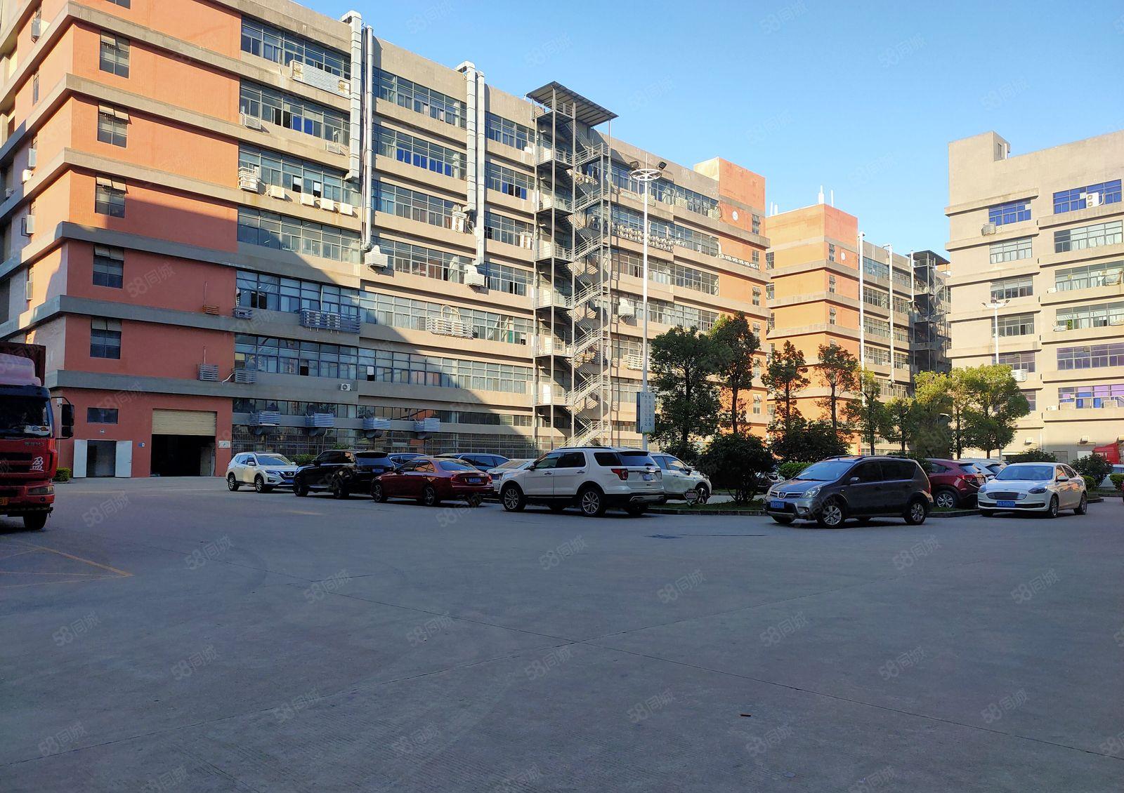 凤岗（临深）新出红本带现成消防 带牛角一楼1000平方米出租