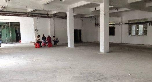 东莞东莞凤岗金凤凰1000㎡ 砖混厂房租售层高6米 配电315KVA 独院天车3吨 有蒸汽 有燃气 可环评 可分租