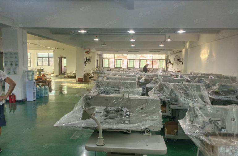 万江石美全新地坪超靓标准厂房出租