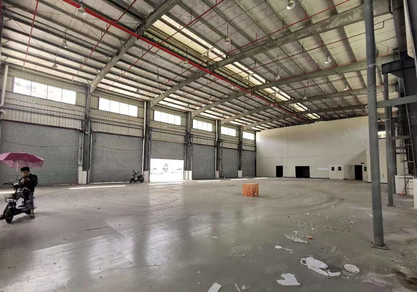 万江独院很标准的单一层厂房1000平出租，200平方起分租